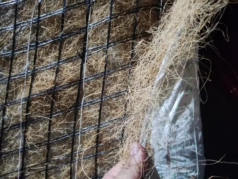 探索甘肃高原草纤维建材 基于植物垫技术的可持续护坡设计研究