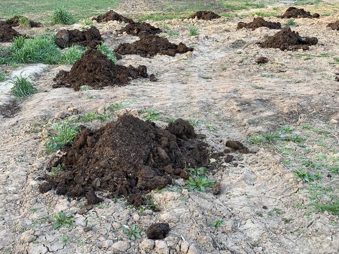 重新赋予大地生机 土壤生态修复的全面指南