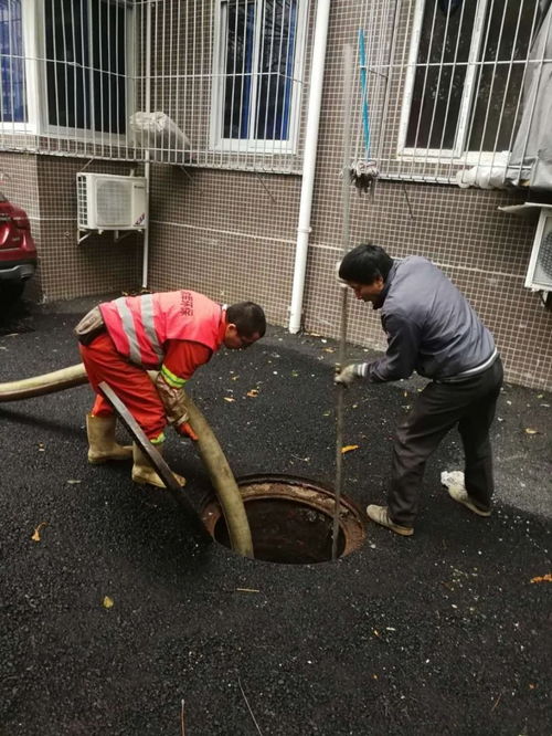 从化粪池清理到生态修复 城市地下系统的绿色重建